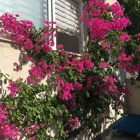 Villa Tatil Çeşme
